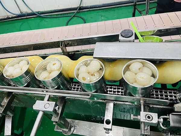 Canned Lychee (4)